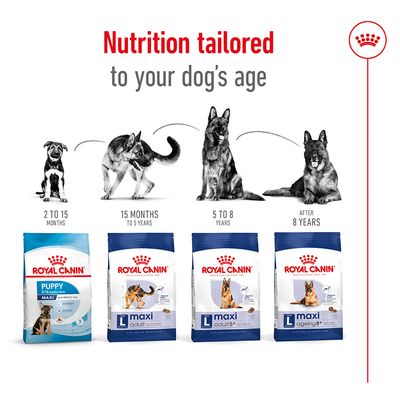 Royal Canin Maxi Adult