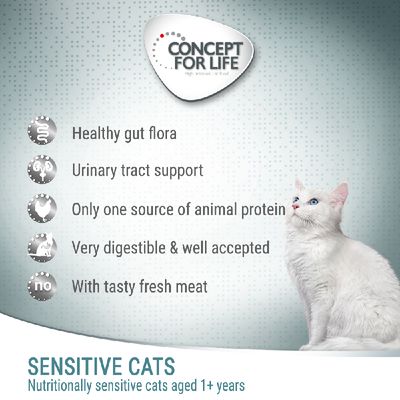 Concept for Life Sensitive Cats