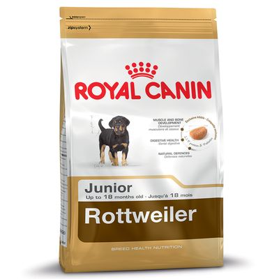 Royal Canin Labrador Retriever Adult 5+
