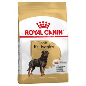 Royal Canin Labrador Retriever Adult 5+