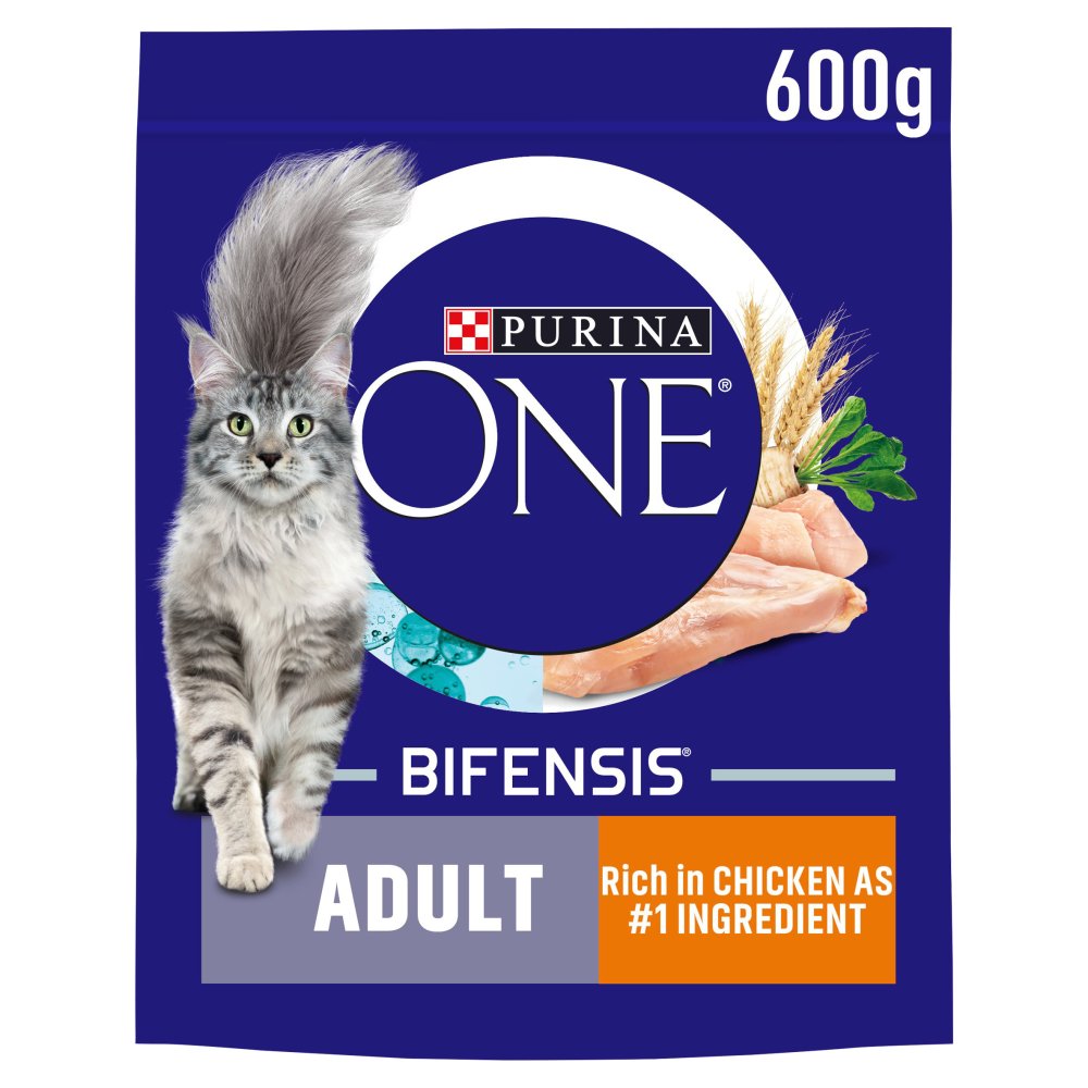 PURINA ONE Chicken Dry Cat Food 600g (Pack of 4)